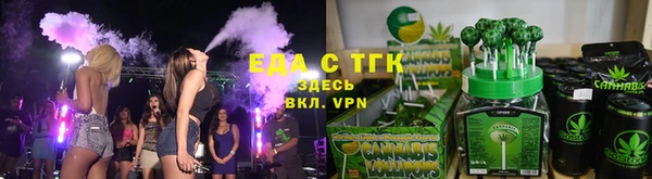 индика Алексин