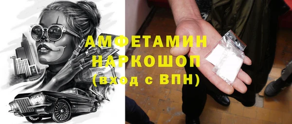 индика Алексин