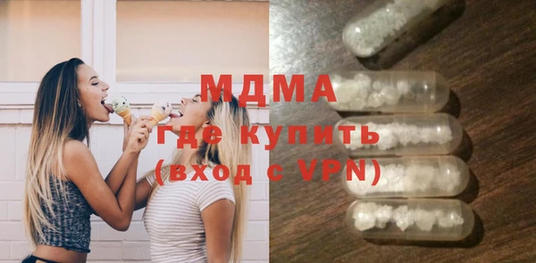 индика Алексин